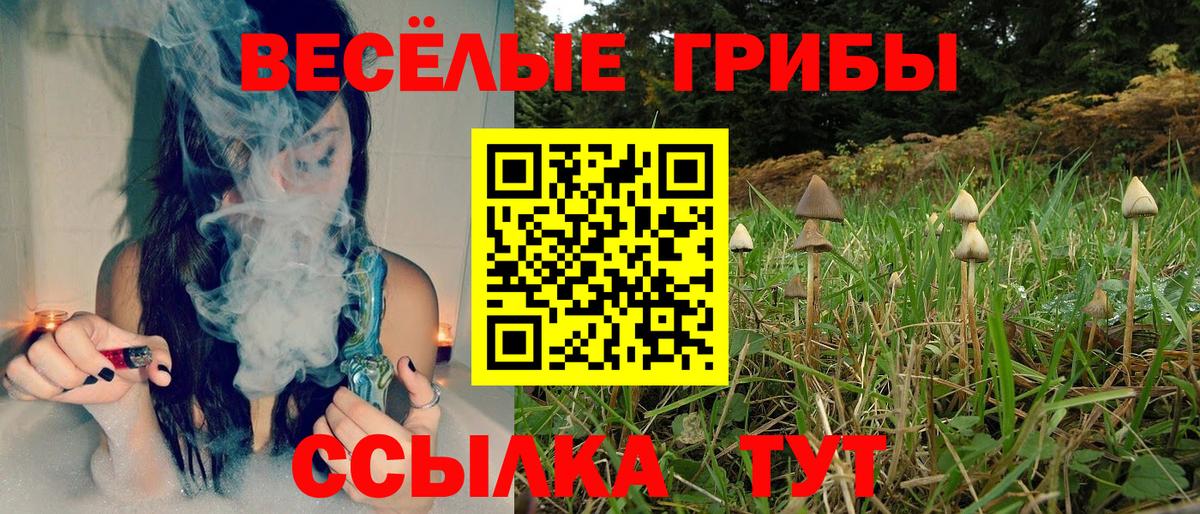 Псилоцибиновые грибы MAGIC MUSHROOMS  Вход с VPN  Брянск 