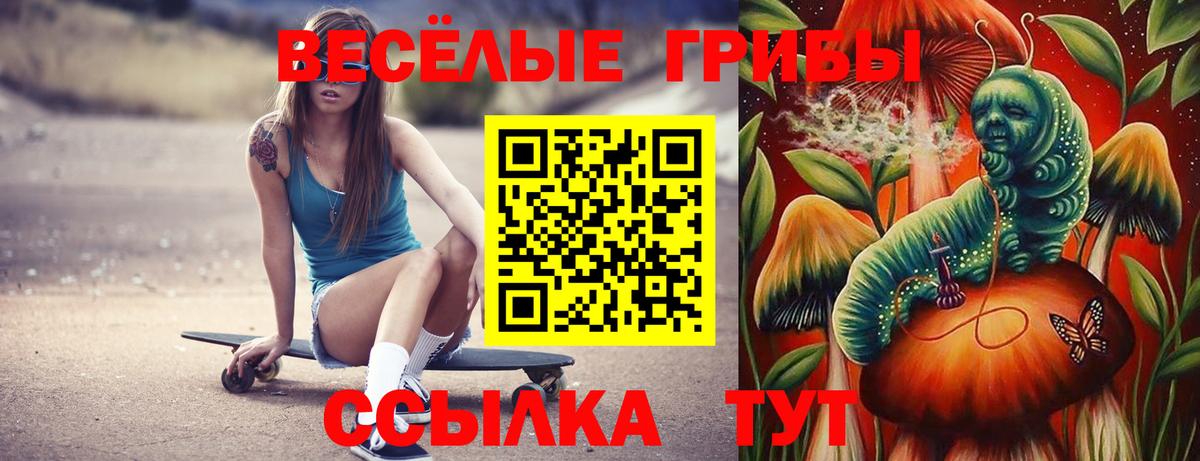 Псилоцибиновые грибы GOLDEN TEACHER Брянск